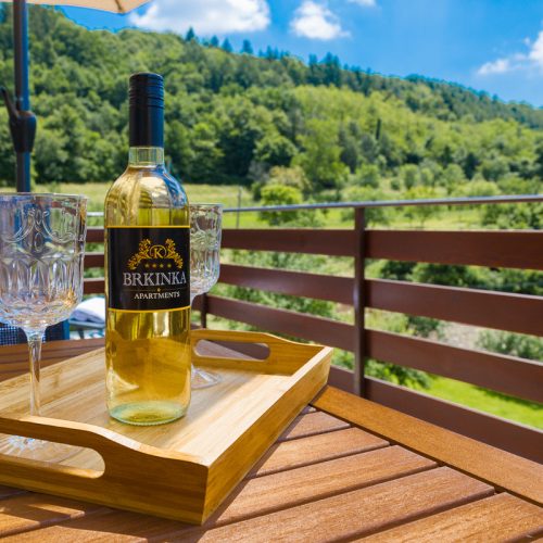 apartma brkinka jacuzzi savna brkini slovenia (10)